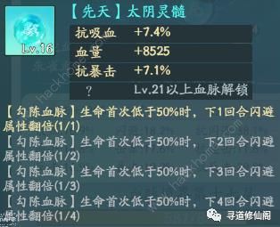 寻道大千减伤流搭配攻略 最强T0减伤流出装实战技巧